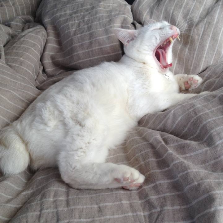 29b0b560 9b27 45c4 9a8e 8fa7e3a0f969