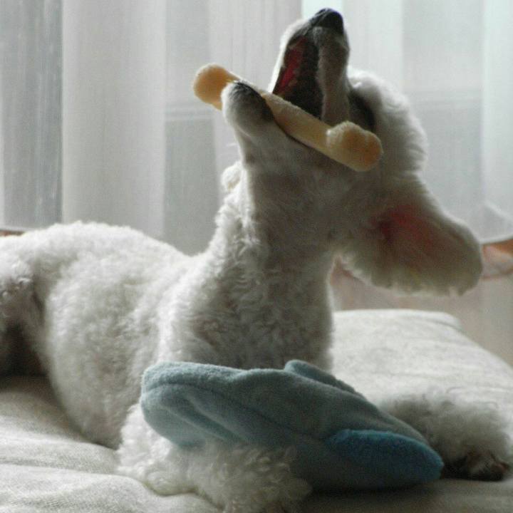 29b12c4c 97e3 443c badd 4d37a874a3ec