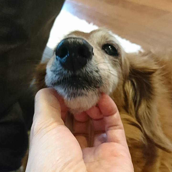 29b150e6 d52a 40bc 9cb9 b63eba0773b3