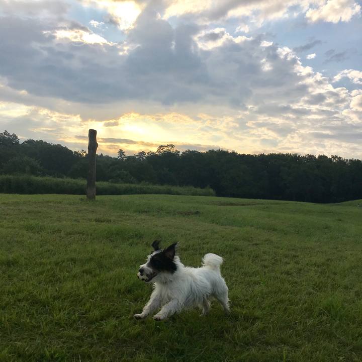 29b198e3 ee2e 402a 9e6c 449a150c6d24