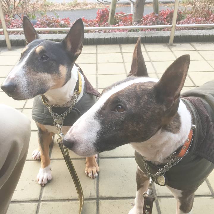 29b1a1d5 5ae5 45ea 9103 ae4f042c1fe3