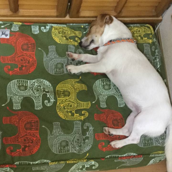 29b1c176 9b40 4f37 867e 64e5d5915230