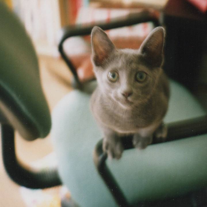 29b219cb 7789 4783 abd8 e3f98202d121