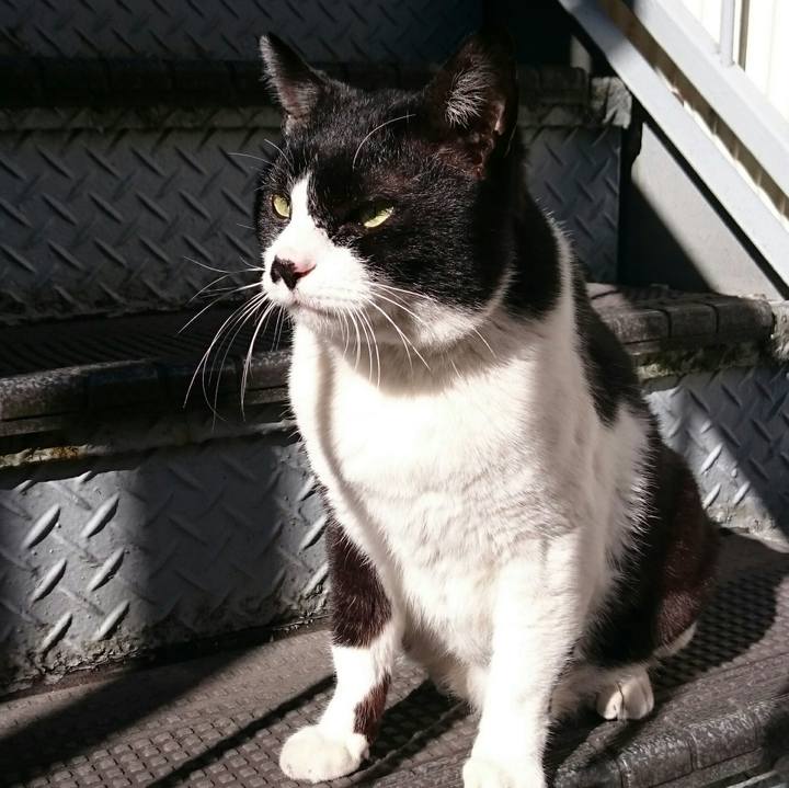 29b27688 cf26 4f6a 9b7a 62968b682b56