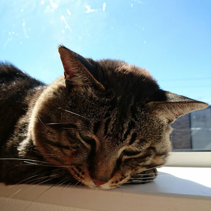 29b31746 31f9 474a af35 0b1b1e0bc218