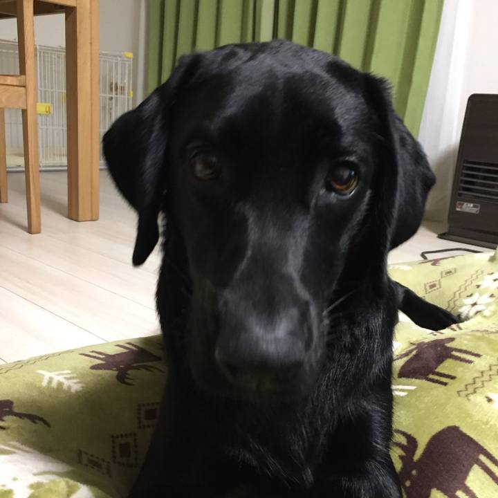 29b3422d fde4 4cc6 b109 17151469f6ae