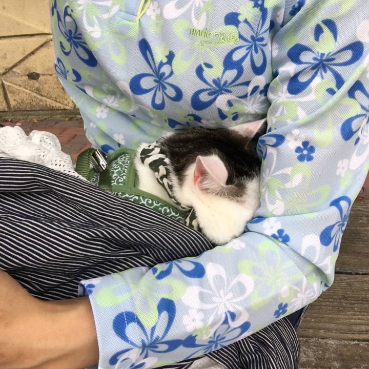 29b34975 d1db 4567 8525 78f14d9d42c3