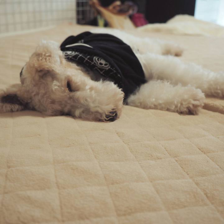 29b38afe 8bc5 44a5 b699 57e5910a993f