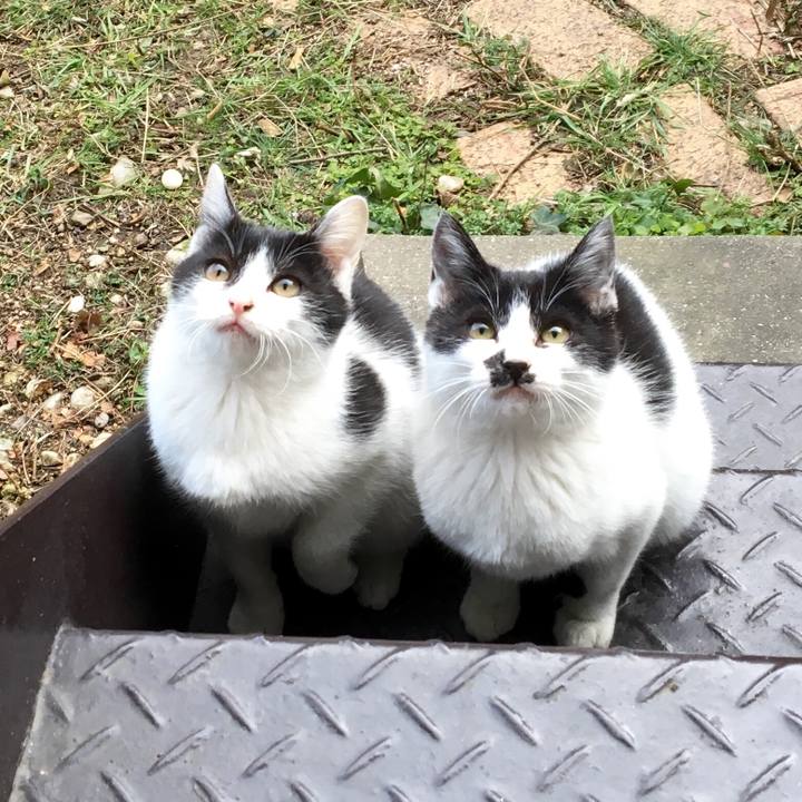 29b399a8 e4d1 45f9 9c68 ea069343503b