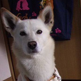 29b39aff 2d57 4c32 ae2d b82aa1239715