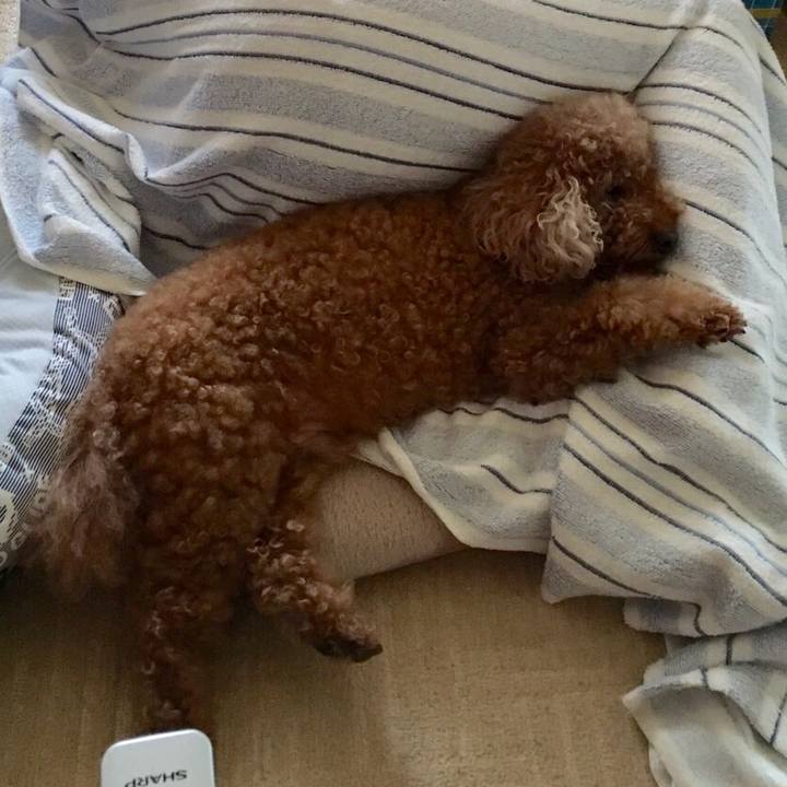 29b3eea3 2e19 4791 84af a1160cb6c18c