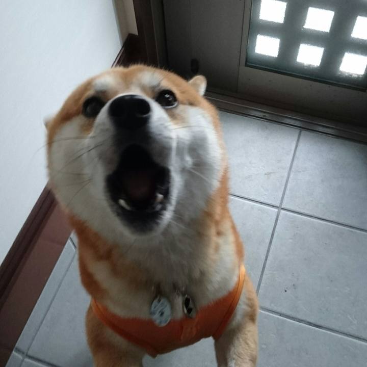 29b41100 ac7b 4386 8093 574d5b8484dc