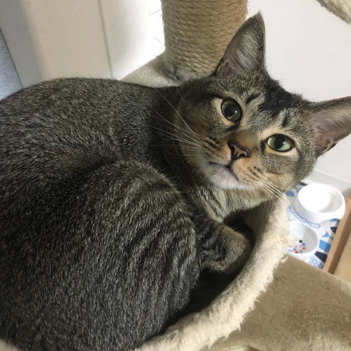 29b41c5c 0157 487d a0b5 1939816eb5c8