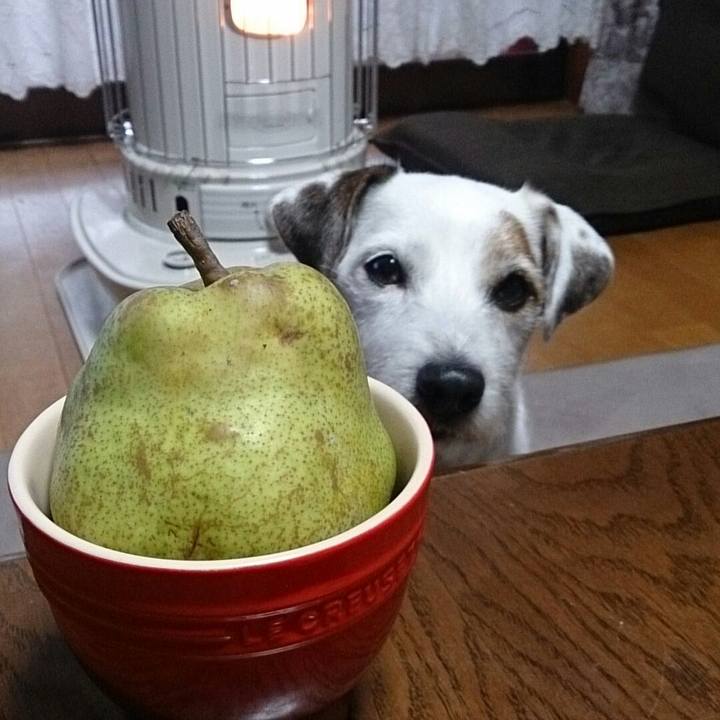 29b45925 5a72 4a34 bd1a 59340a9aaf25