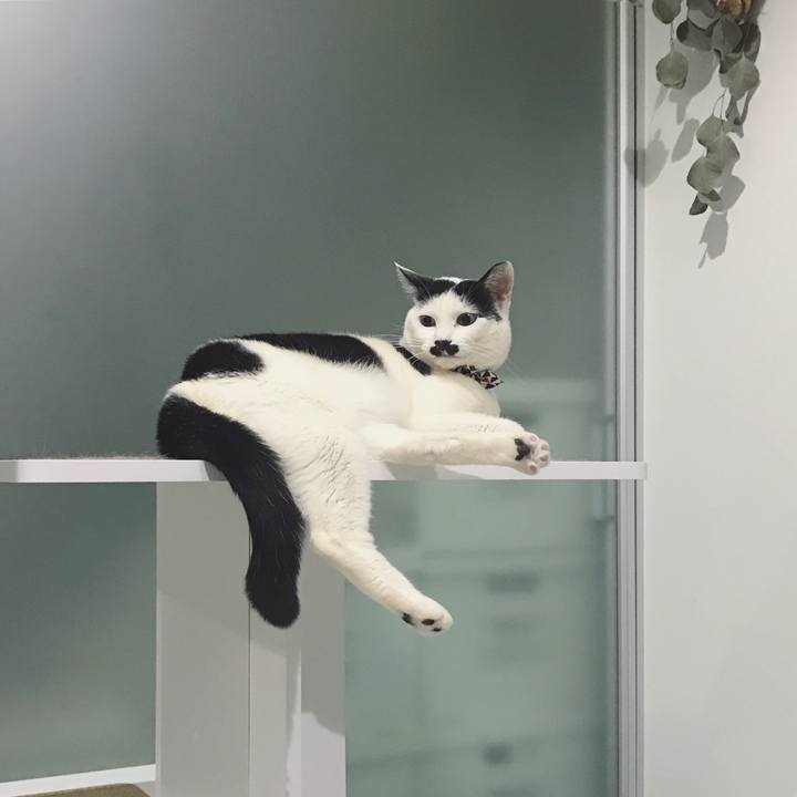 29b4a865 7b58 424a 8d94 55d4f733f163