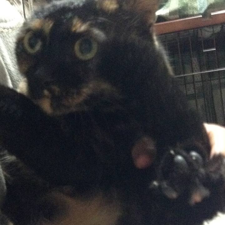 29b561fa 0ba7 4e97 9c0f 601655534838