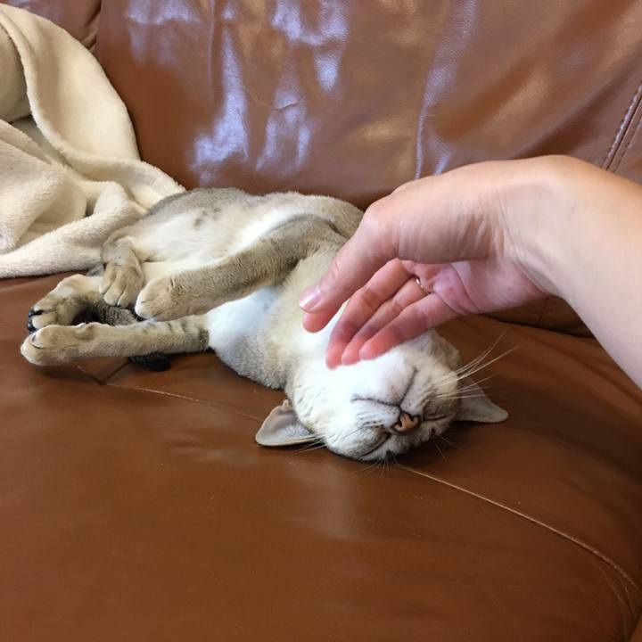 29b576b4 f471 49a1 b015 85b9cf2327f1