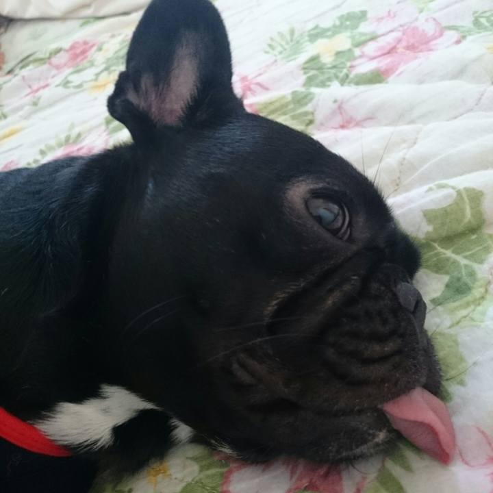 29b57f92 d3e2 4b43 800a af62f002af80