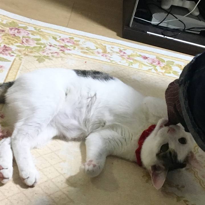 29b5b756 f6df 46d6 96b6 32587e80d738