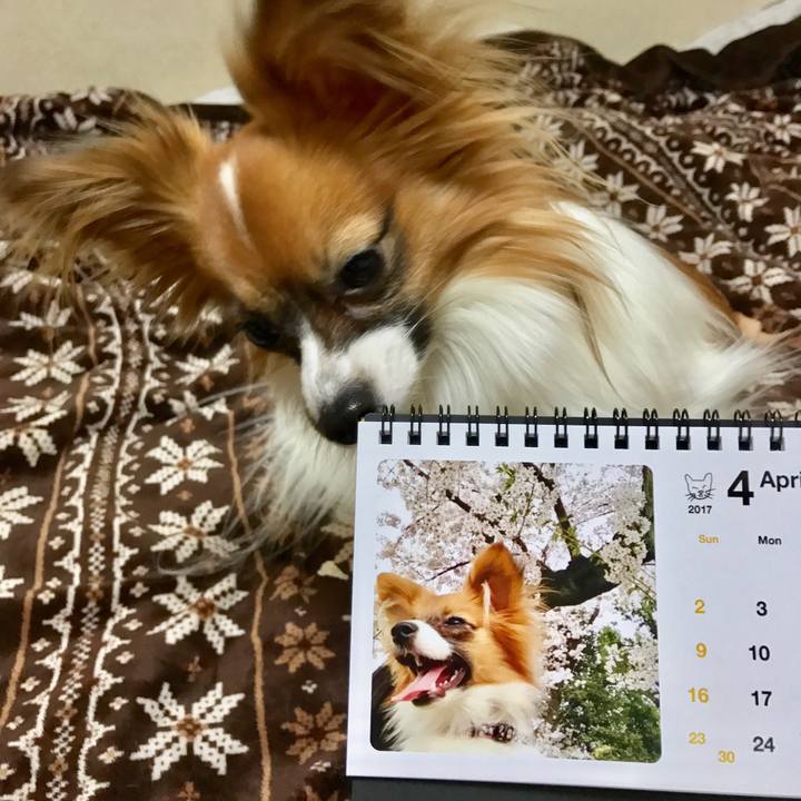 29b5d4aa 19f4 44f5 bf3a f22c66a63980