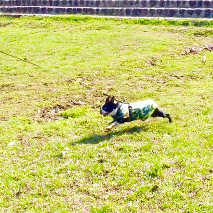 29b6438d c62c 427c 9a2a de297d29e074