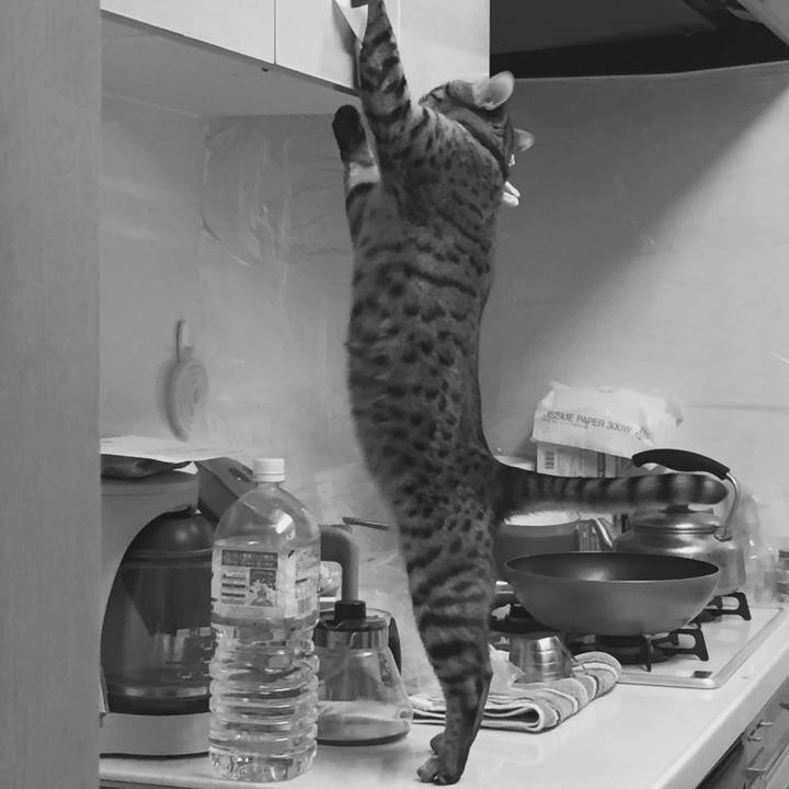 29b73363 4f71 490f 8435 fc30ec7e9542