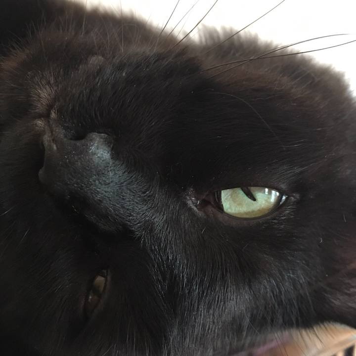 29b735fe 1d1a 4b91 8f46 570e06c006b0