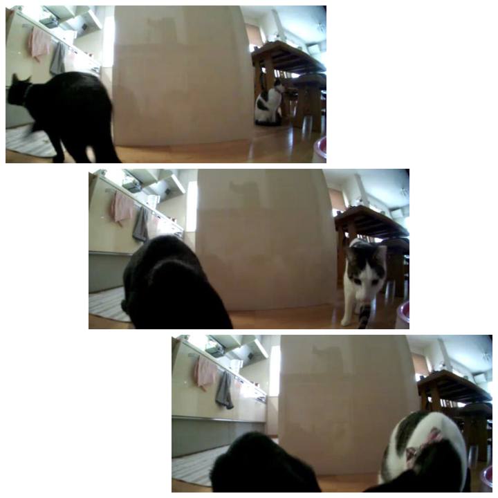 29b78979 4d70 41be a5ba 850cadbdb79a