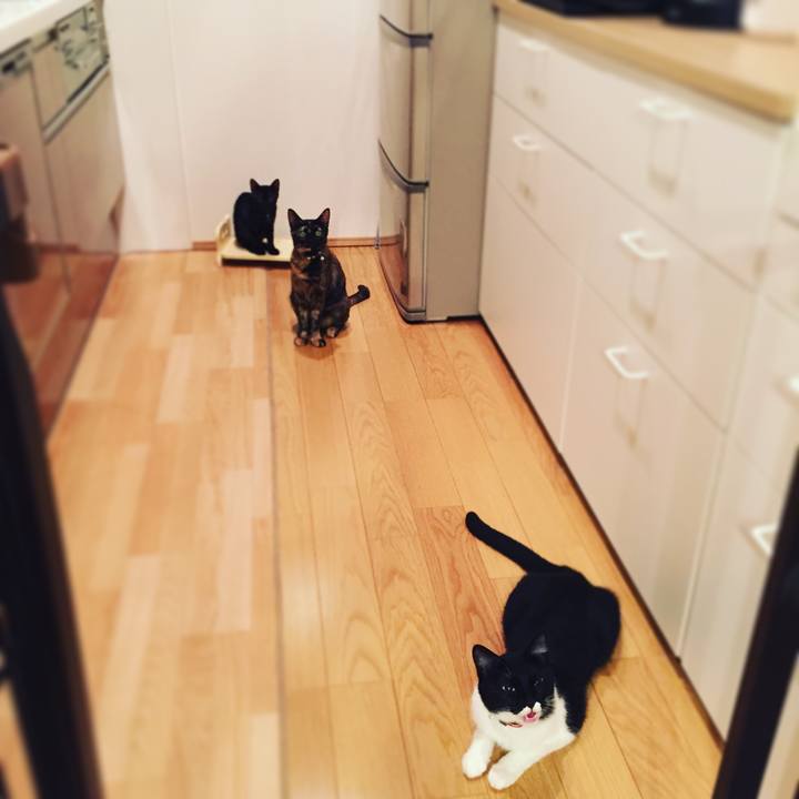 29b79afa 394e 4eb6 8dd5 89c4b5f637e7