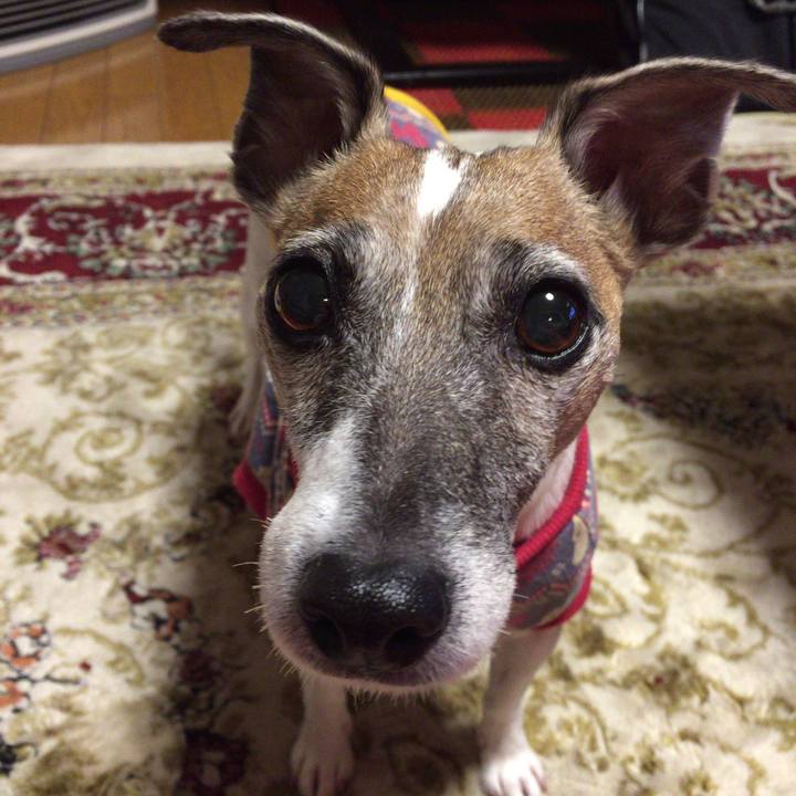 29b7b9a5 81e5 49fc 83ff 07862617f5ec