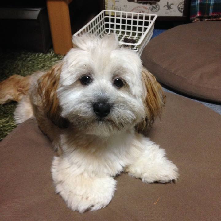 29b82235 71fd 41ed a27e 1143a057cdd5