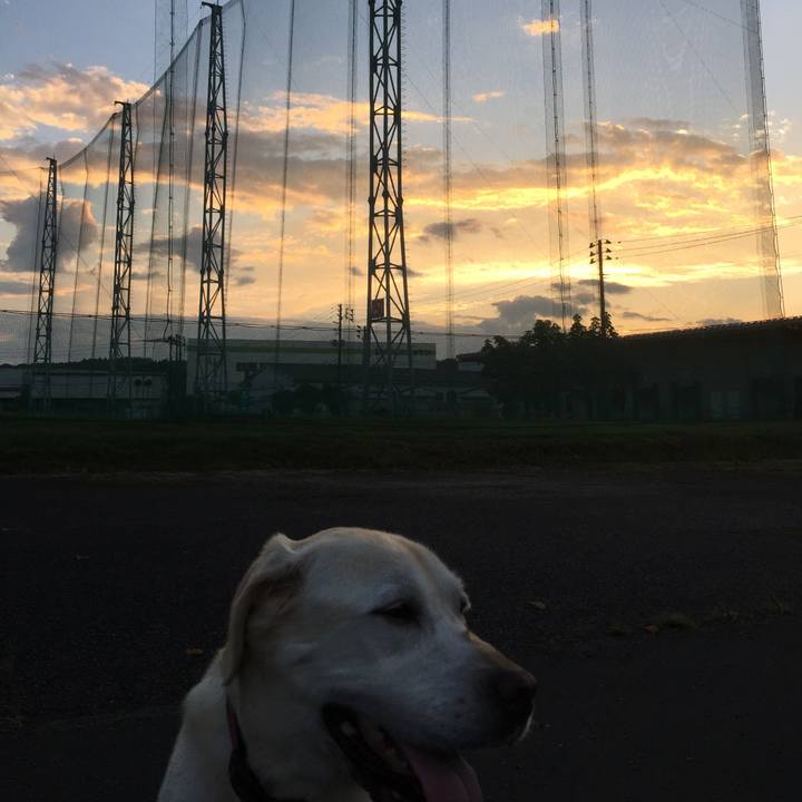 29b851ef 3832 4fa5 a2f5 ec39bb2a296e