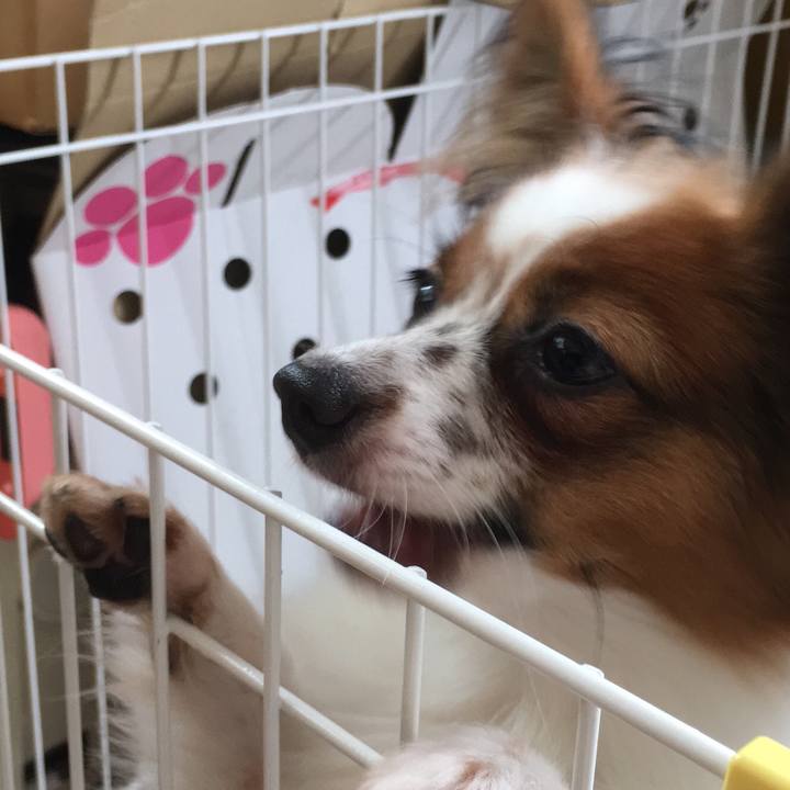 29b8a0ee dc14 45e5 8094 5427bb931742