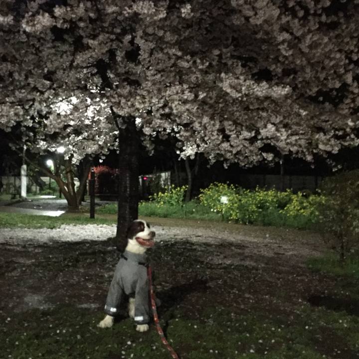 29b923e2 e91f 4373 af46 3ba949991868