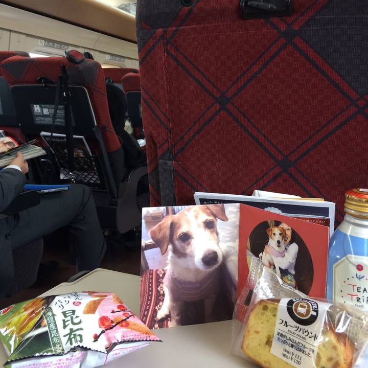 29b97a9c 1a4f 4e48 8a1f e8a9ce5c3745