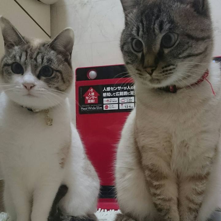 29b99fbc af92 4709 8d3e 184cb20d5a84