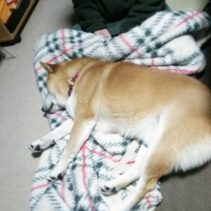 29ba06cb ac34 4afe 97b5 64a3b1675c57