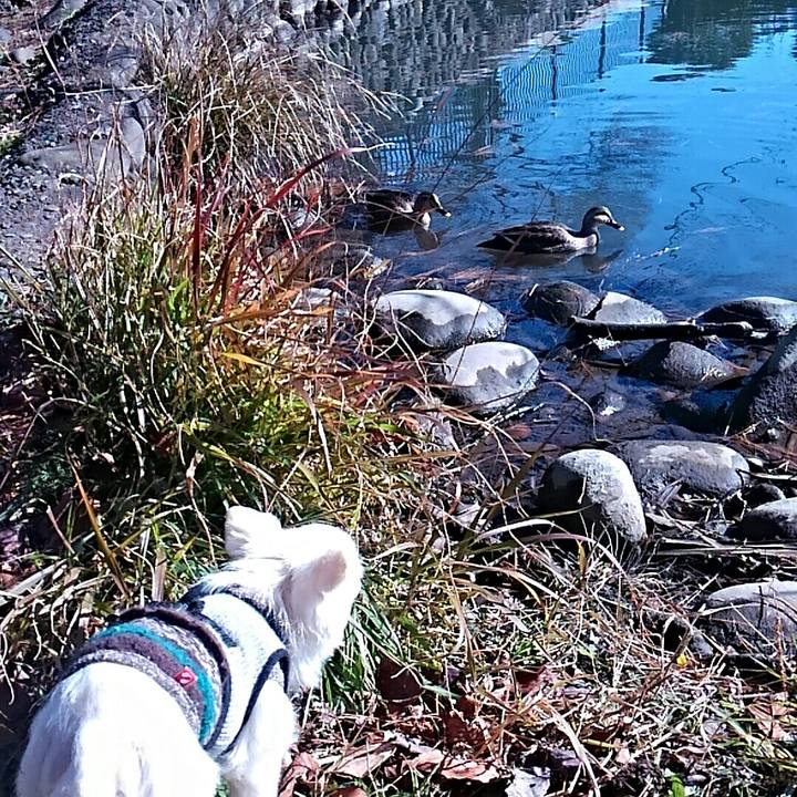 29ba09af 7e51 4c97 9d48 e2b3d6acb866