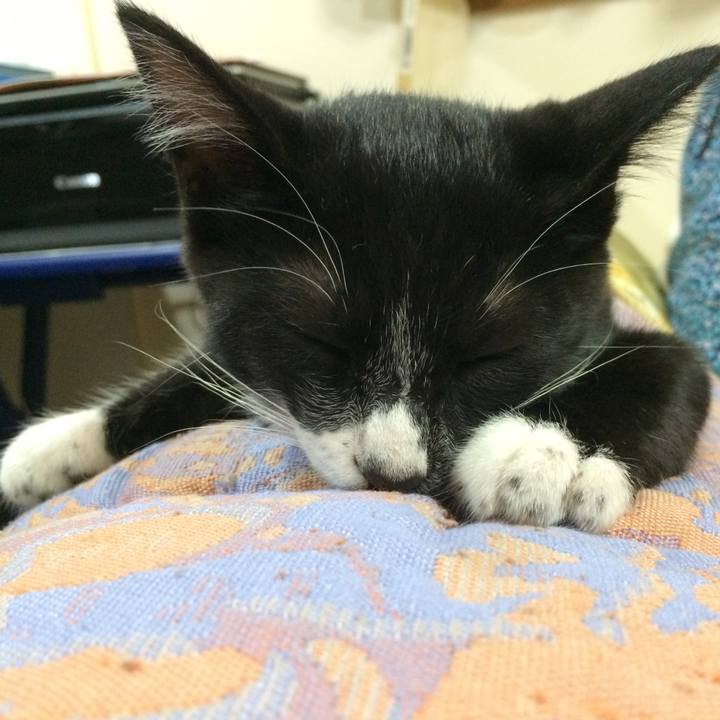 29ba9105 0703 42dc b097 d709cd252580