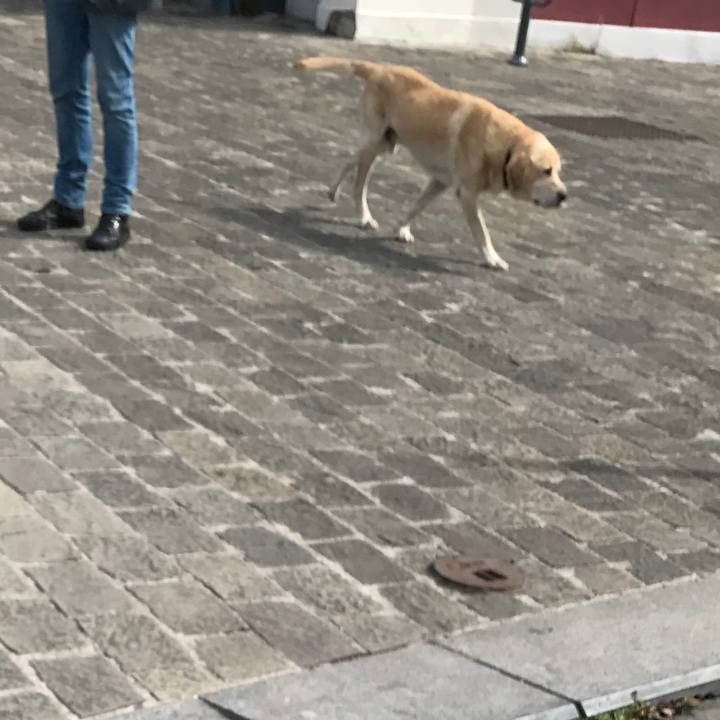 29ba9e1f 846f 4c29 b175 378d81589353