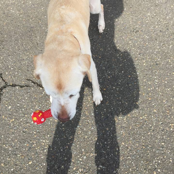 29bad434 4b09 489c b1a8 cbd9147849fa