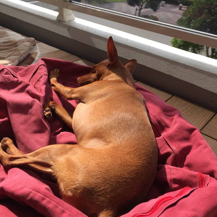 29bb16d5 814e 49c1 a4cb 5caf3454edea