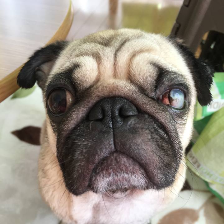 29bbbbd3 8c79 4700 a735 8c243f85d682