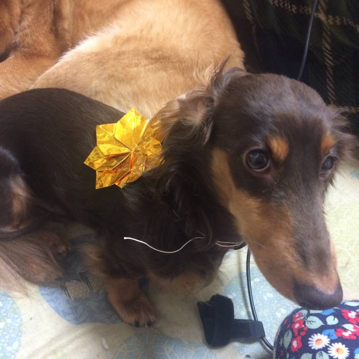 29bbfe25 b273 4112 b47b 83108981e24a