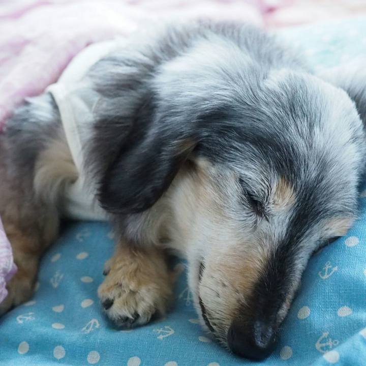 29bc10ff 8a5e 4210 b0c1 0c1412a7b39b