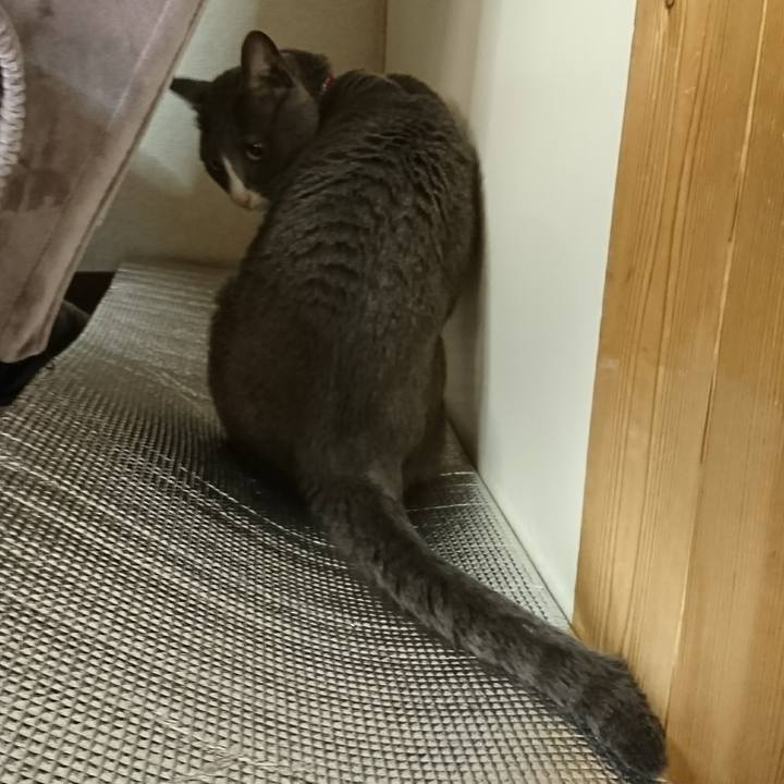 29bc6652 5954 4371 80d0 abae2e0441f3