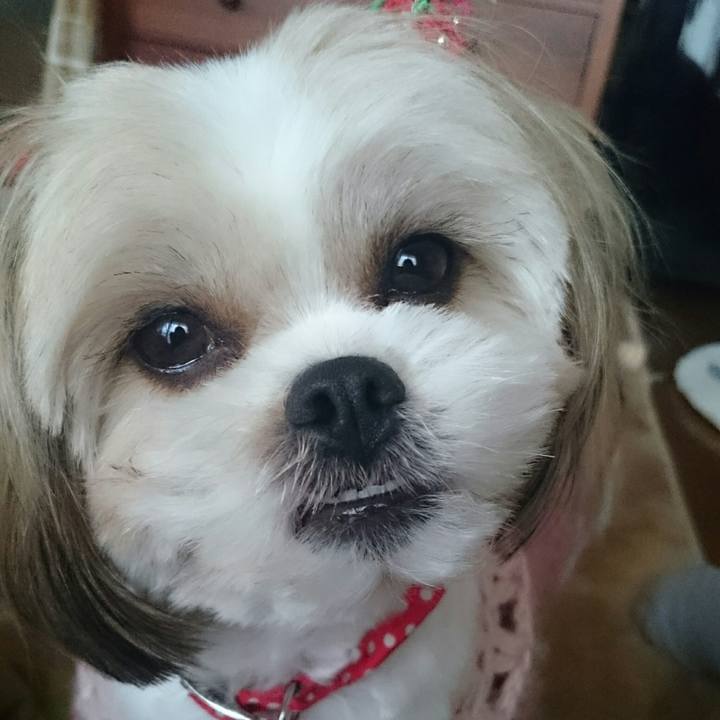 29bd2a6a 7f40 4f24 9213 6c397419d6d4