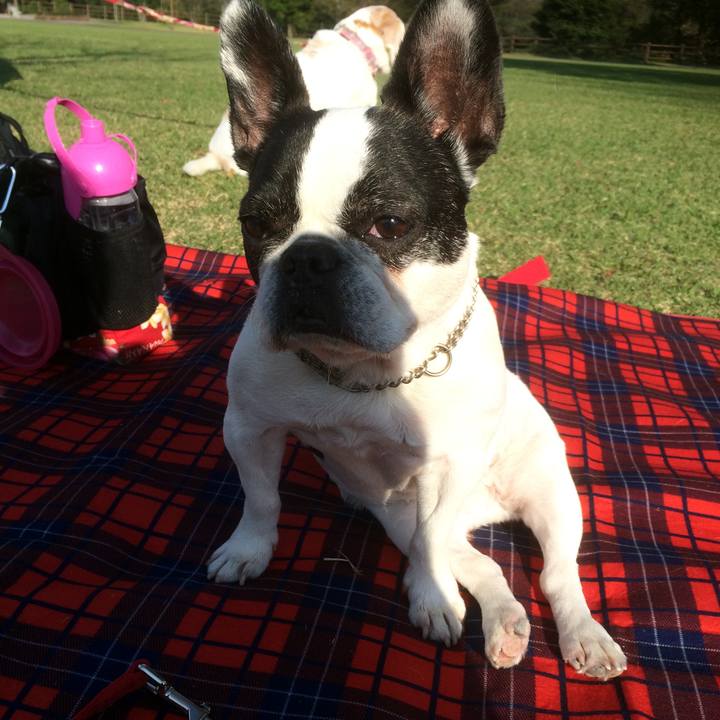 29bd3077 9558 4e8f a5a7 a836e5d5e527