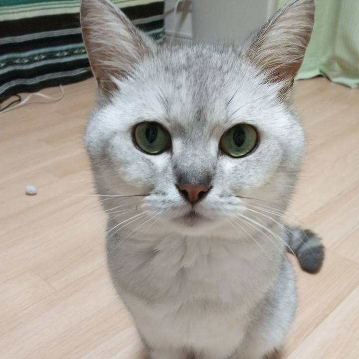 29bd739c 894b 475b ac53 15f4f2b5a722