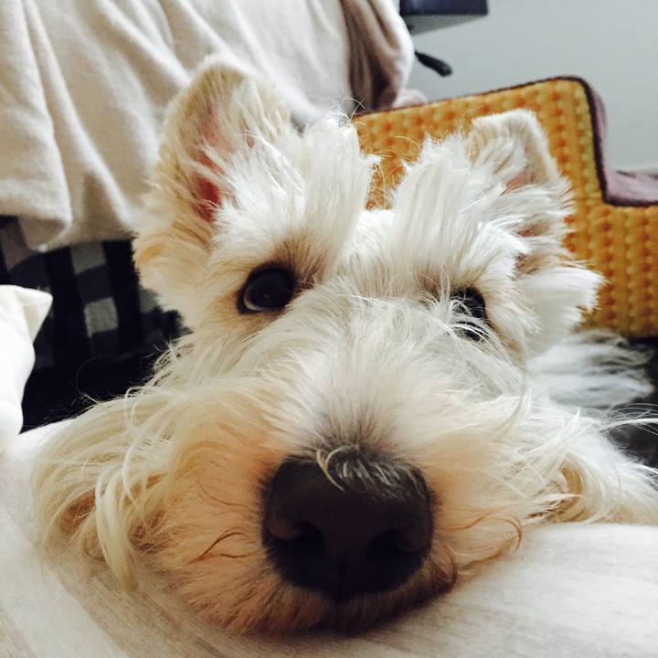 29bd7ebc e6c4 4ed2 8050 6998a2541c59